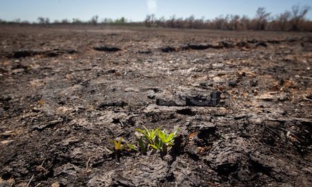 La Corte condenó al Estado Nacional y a las provincias de Buenos Aires, Entre Ríos y Santa Fe por quema de pastizales frente al Delta del Paraná. La Corte condenó al Estado Nacional y a las provincias de Buenos Aires, Entre Ríos y Santa Fe por quema de pastizales frente al Delta del Paraná.
