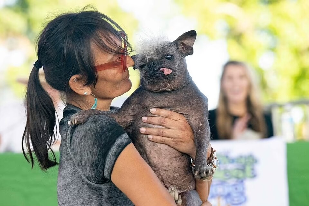 Su dueña, Jenada Benally, convenció al jurado de que su perro de 17 años merecía el primer puesto y ganó USD $1500 en la competencia. (AFP/Getty images) 