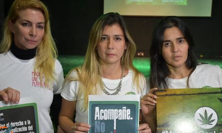 La ley decannabis medicinalen la Argentina se sancionó en 2017 por parte del Congreso Nacional. La ley decannabis medicinalen la Argentina se sancionó en 2017 por parte del Congreso Nacional.