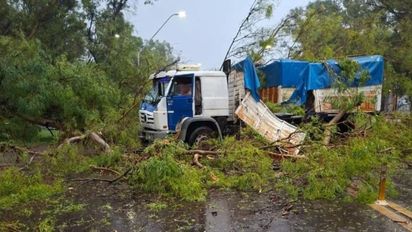 Un eucalipto cayó sobre un camión y obligó a cortar el tránsito en la Ruta 11 durante dos horas