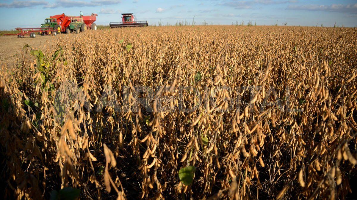 La medida causó preocupación en firmas agroexportadoras.