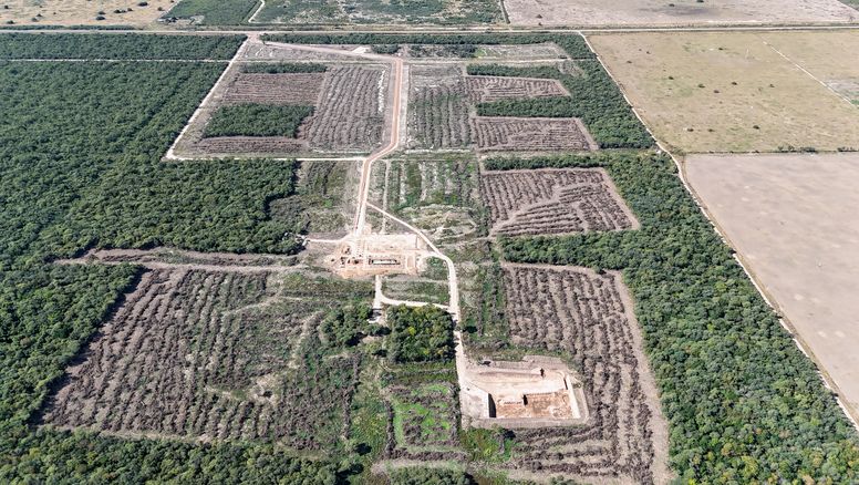 Informe exclusivo: anticipo de una investigación de AIRE sobre un desmonte ilegal en Logroño