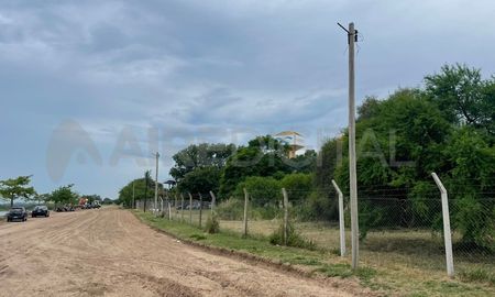 El móvil de AIRE constató la falta de las luminarias y el cableado en el paseo de la Costanera Este. El móvil de AIRE constató la falta de las luminarias y el cableado en el paseo de la Costanera Este.