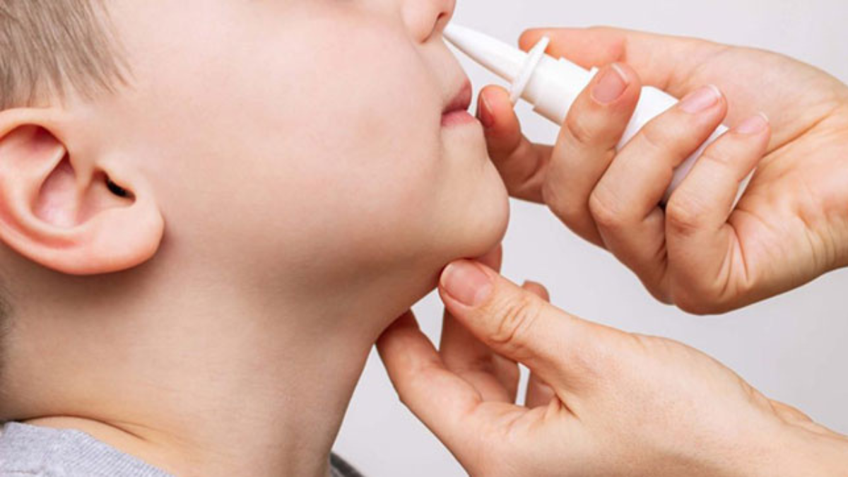 La vacuna en investigación se administra mediante un aerosol nasal en dos dosis. La vacuna en investigación se administra mediante un aerosol nasal en dos dosis.