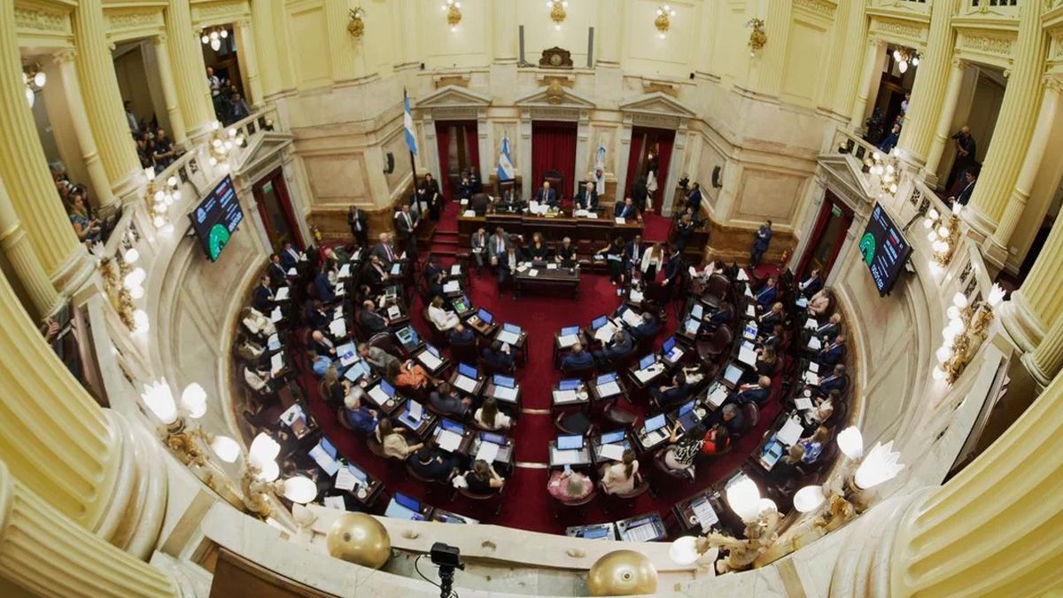 El Senado Nacional aprobó el último viernes la reforma laboral y la nueva ley penal juvenil.