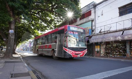 Ersa ya recibió unidades 0 km y en los próximos días sucederá lo mismo con Autobuses, que también suma coches 2017 y 2018 a la flota. Ersa ya recibió unidades 0 km y en los próximos días sucederá lo mismo con Autobuses, que también suma coches 2017 y 2018 a la flota.