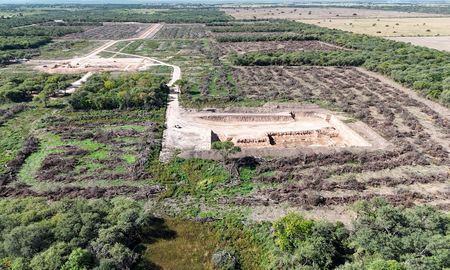 La Provincia de Santa Fe frenó un desmonte ilegal de casi 50 hectáreas en el norte santafesino. La Provincia de Santa Fe frenó un desmonte ilegal de casi 50 hectáreas en el norte santafesino.