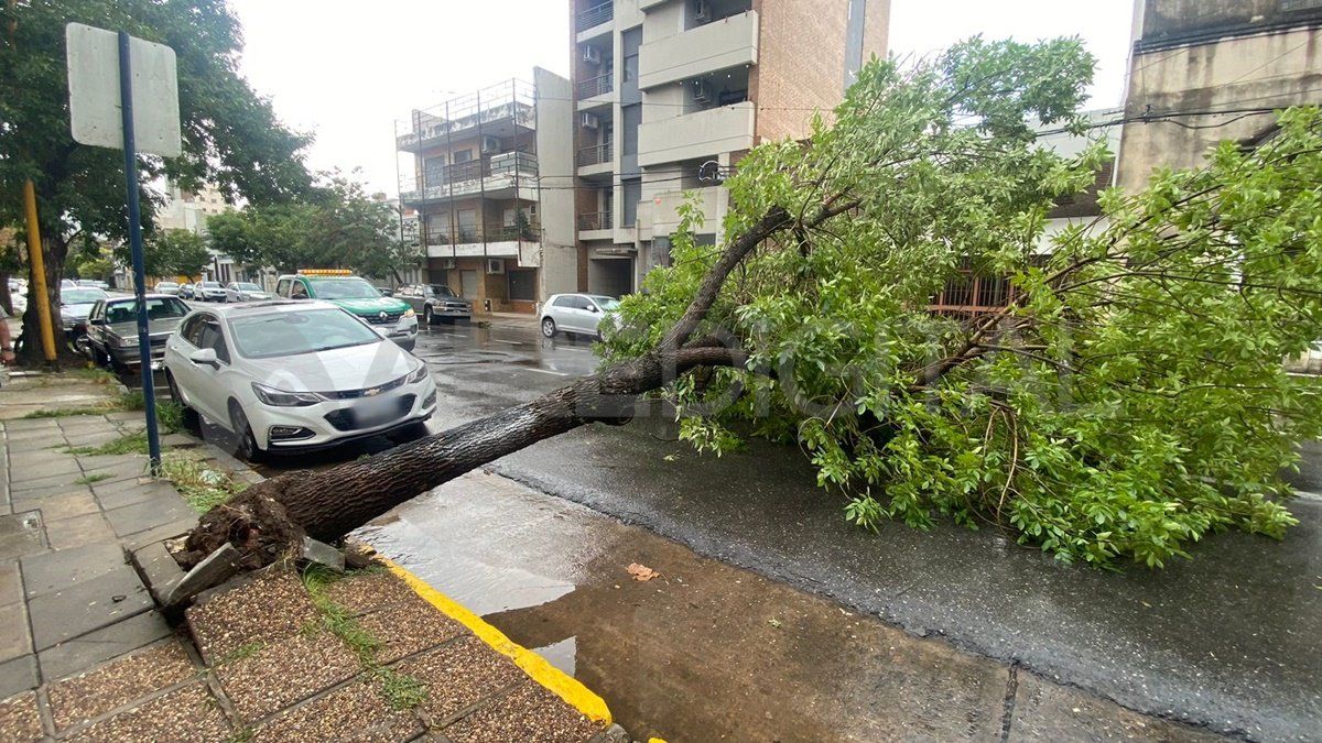 Un fuerte temporal azotó a la ciudad de Santa Fe por un breve lapso de tiempo.