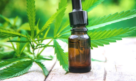 Es ley el marco regulatorio para el cannabis medicinal y el cáñamo industrial Es ley el marco regulatorio para el cannabis medicinal y el cáñamo industrial