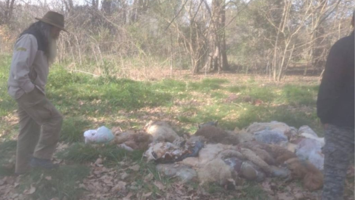 Horror en Berazategui: encontraron más de doce cuerpos. Horror en Berazategui: encontraron más de doce cuerpos.