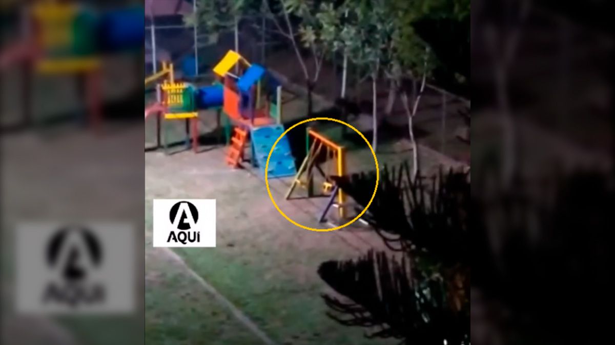 Las imágenes se viralizaron rápidamente por las redes sociales.&nbsp;