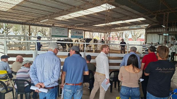 La Lehmann celebró 50 años de remates en la Feria de Sarmiento con un homenaje a su historia ganadera