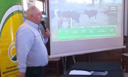alianza ganadera en expoagro: remate estrategico de 2.000 cabezas y plazos competitivos alianza ganadera en expoagro: remate estrategico de 2.000 cabezas y plazos competitivos