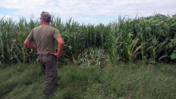 Seguridad en el agro: la Rural de Santa Fe pide antenas para conectar a Los Pumas
