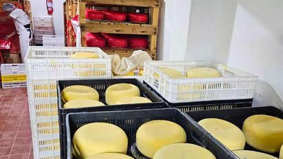 Santa Fe y Córdoba: así están las Pymes queseras según el INTA