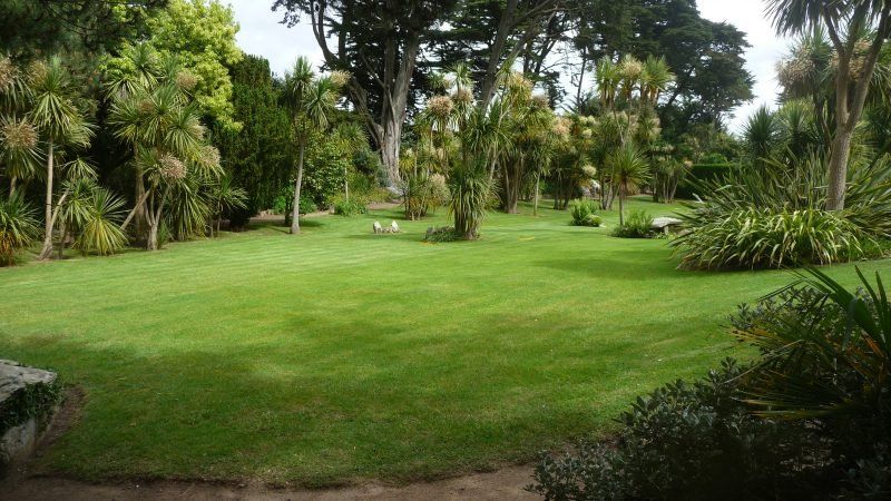 El letal veneno que se encuentra sin esfuerzo en jardines y parques