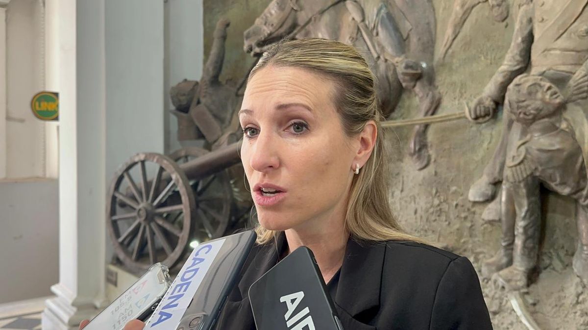 La secretaria de Gestión Institucional del Ministerio de Justicia y Seguridad, Virginia Coudannes, brindó detalles de los operativos de seguridad. La secretaria de Gestión Institucional del Ministerio de Justicia y Seguridad, Virginia Coudannes, brindó detalles de los operativos de seguridad.
