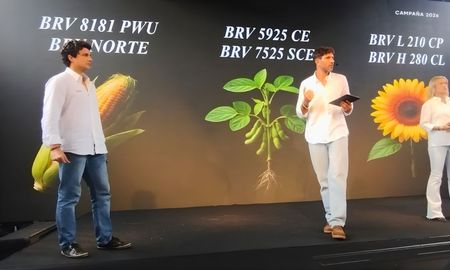 genetica de vanguardia: caracteristicas de los nuevos maices, sojas y girasoles de ultima generacion genetica de vanguardia: caracteristicas de los nuevos maices, sojas y girasoles de ultima generacion