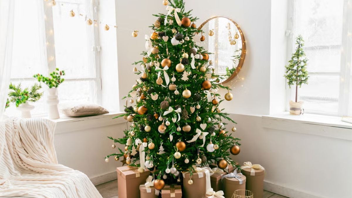 Lo dice el Feng Shui: dónde hay que poner el árbol de Navidad para atraer abundancia.
