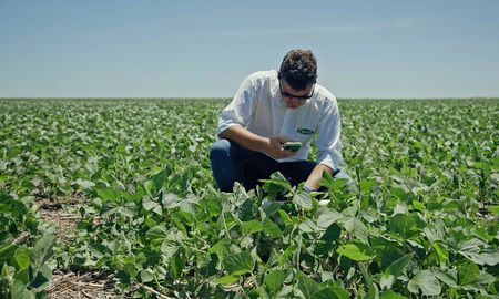 SIMA es un software para productores agrícolas que ayuda a digitalizar datos y permite controlar los cultivos desde un smartphone. SIMA es un software para productores agrícolas que ayuda a digitalizar datos y permite controlar los cultivos desde un smartphone.