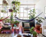 feng shui: las 8 plantas que tenes que tener (¡y las que no!) para atraer buena energia feng shui: las 8 plantas que tenes que tener (¡y las que no!) para atraer buena energia