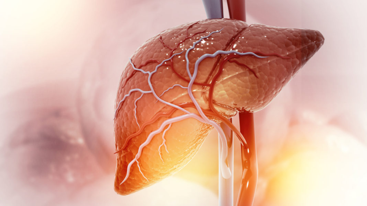 La salud hepática depende de un equilibrio metabólico que evite la progresión de la esteatosis hacia estadios inflamatorios. La salud hepática depende de un equilibrio metabólico que evite la progresión de la esteatosis hacia estadios inflamatorios.