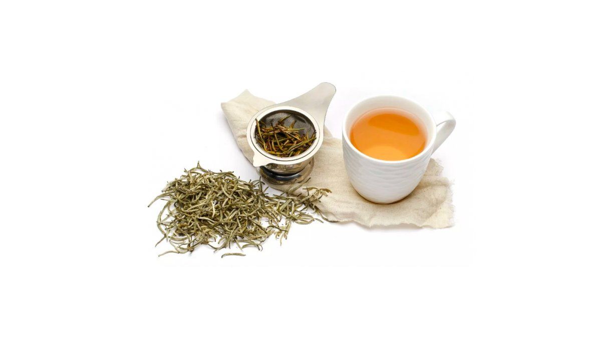 Té blanco qué es, cómo se prepara y cuáles son sus beneficios Té blanco qué es, cómo se prepara y cuáles son sus beneficios