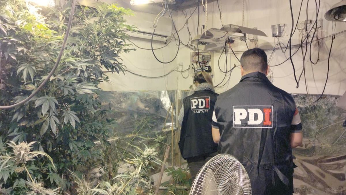 Entre los elementos vinculados a la causa también se incautaron 3.637.400 pesos en efectivo, 1.700 dólares estadounidenses, una balanza digital, entre otros.&nbsp;