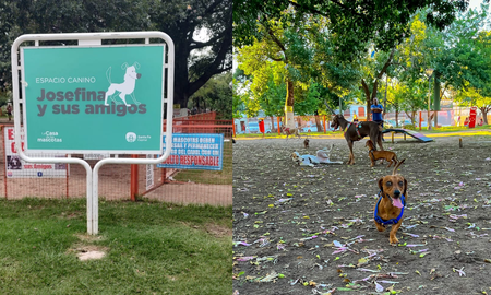 Josefina y sus amigos es el primer parque canino exclusivo en Santa Fe. Josefina y sus amigos es el primer parque canino exclusivo en Santa Fe.