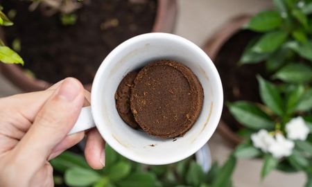 El truco con café para las plantas. El truco con café para las plantas.