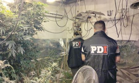 Entre los elementos vinculados a la causa también se incautaron 3.637.400 pesos en efectivo, 1.700 dólares estadounidenses, una balanza digital, entre otros. Entre los elementos vinculados a la causa también se incautaron 3.637.400 pesos en efectivo, 1.700 dólares estadounidenses, una balanza digital, entre otros.
