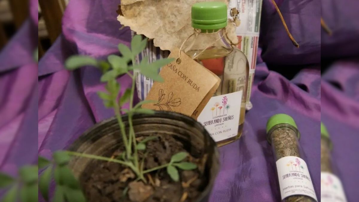 El vivero inclusivo funciona desde 2011 en la ciudad de Recreo y garantiza el derecho al trabajo de personas con discapacidad psicosocial.