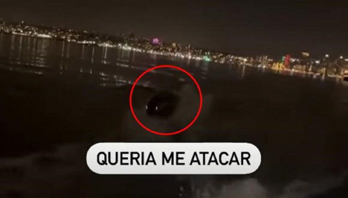 En Brasil un hombre escapó aterrado de una extraña criatura marina.
