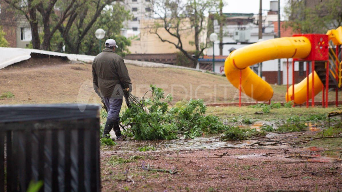 Tras la tormenta, en la Plaza de las Banderas cayeron ramas pero no árboles enteros.