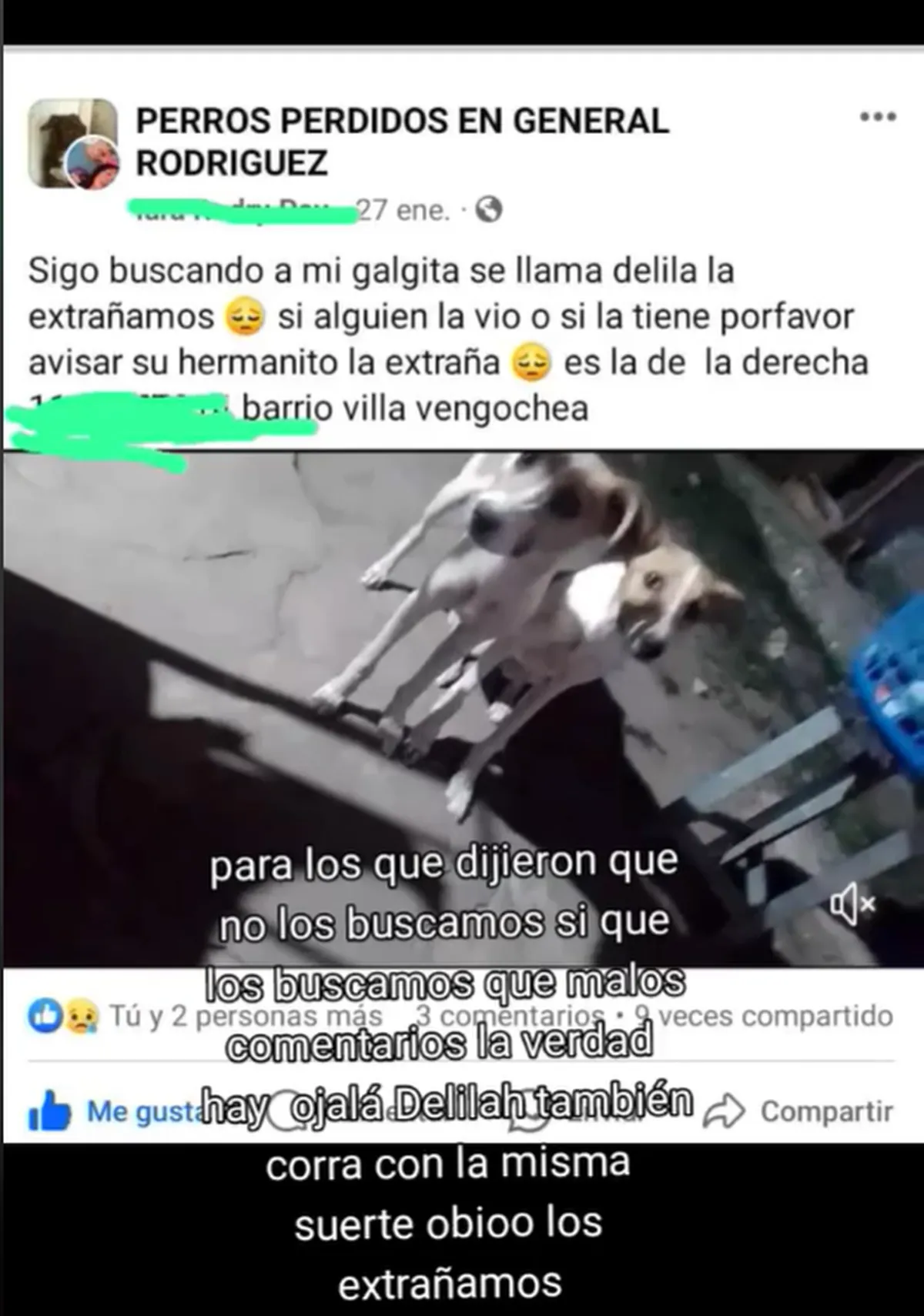 Aseguran que el perro de Gran Hermano tiene dueños. Aseguran que el perro de Gran Hermano tiene dueños.