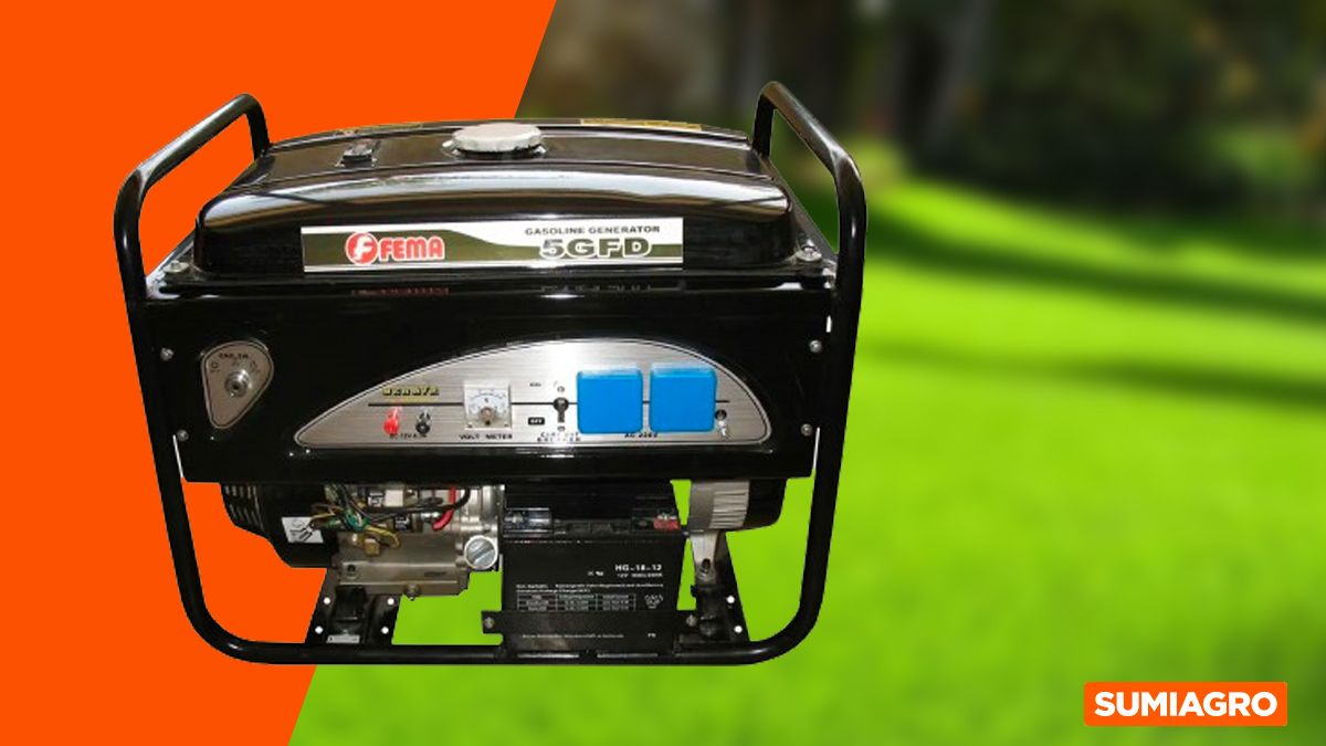 GENERADOR FEMA 6600 de 5500 W GENERADOR FEMA 6600 de 5500 W