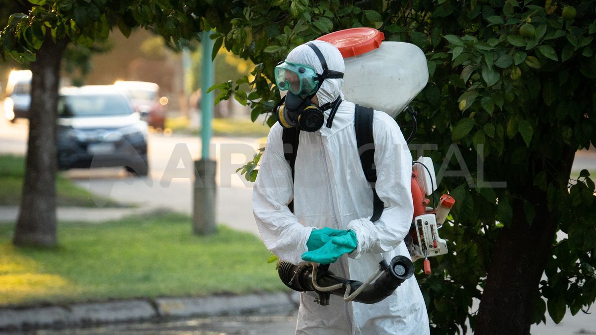 Operativo de fumigación en la ciudad de Santa Fe.