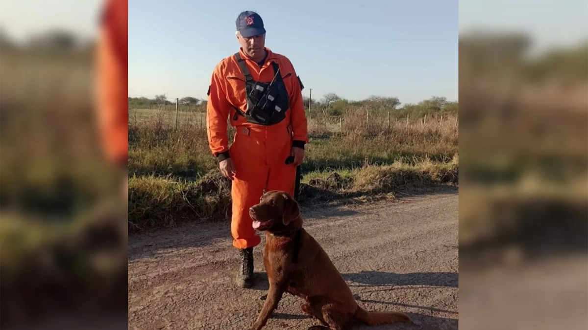 Murió uno de los perros que participó de la búsqueda del Loan en Corrientes. 
