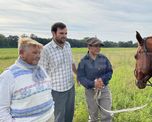 Dueños de los caballos de Monte Vera piden el rápido esclarecimiento de los hechos. Dueños de los caballos de Monte Vera piden el rápido esclarecimiento de los hechos.