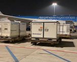 Un total de 384 mil vacunas contra el coronavirus llegarán este domingo al país desde China en un vuelo de Aerolíneas Argentinas. Un total de 384 mil vacunas contra el coronavirus llegarán este domingo al país desde China en un vuelo de Aerolíneas Argentinas.