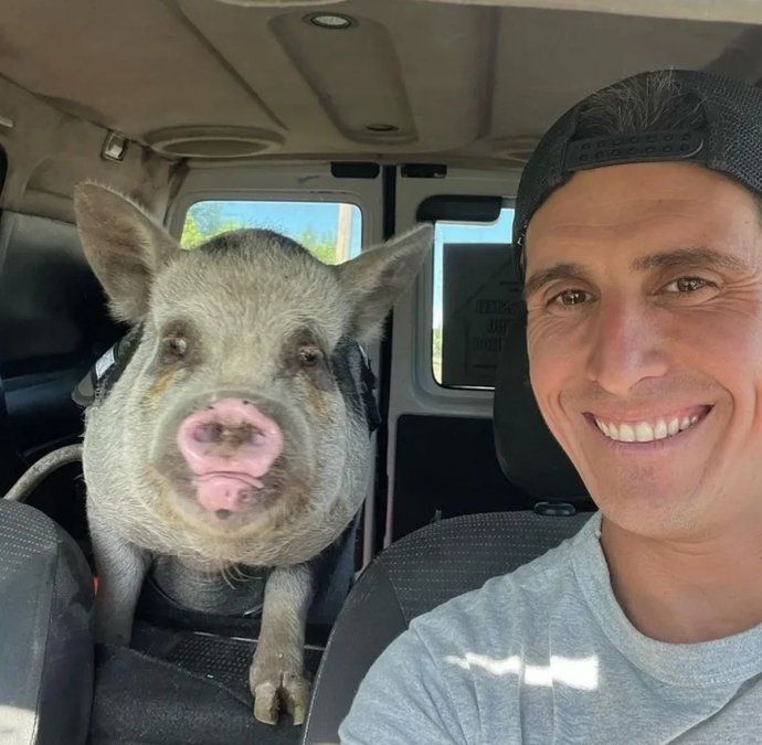 Repudio: adoptó a un chanchito como mascota