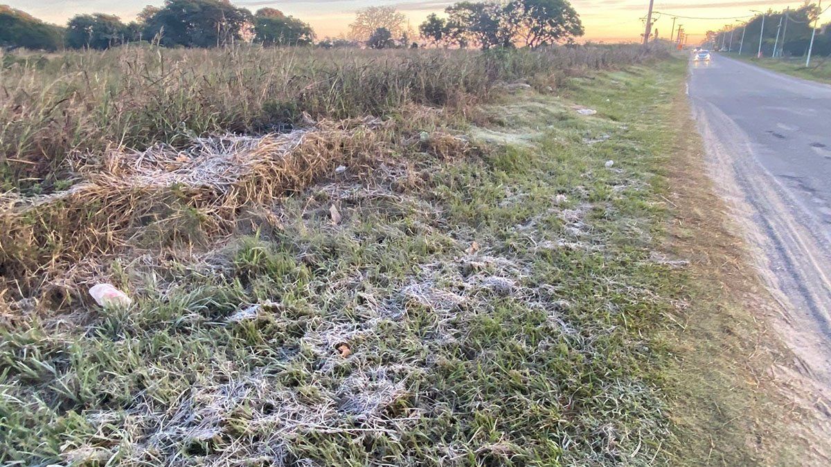 Santo Tomé registró un grado bajo cero y hubo heladas.