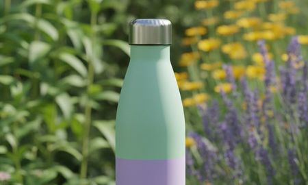 Una botella y planta. Una botella y planta.