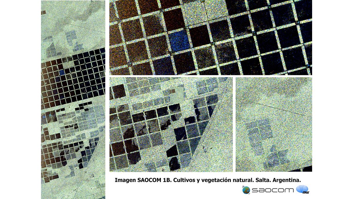 Cultivos y vegetación natural en Salta, Argentina.