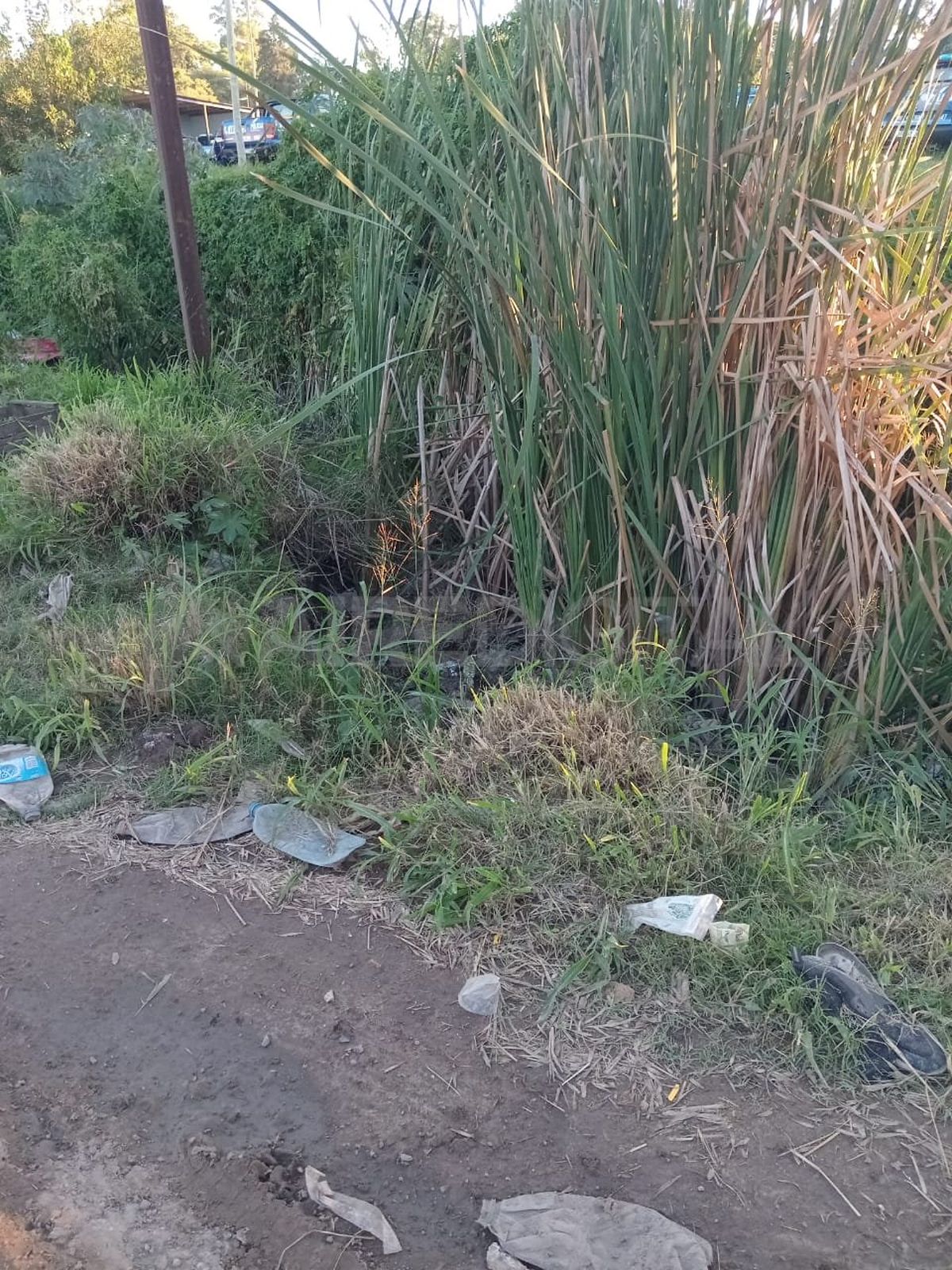 Basura y pastizales altos: la preocupación de los vecinos de Ciudadela Norte. Basura y pastizales altos: la preocupación de los vecinos de Ciudadela Norte.
