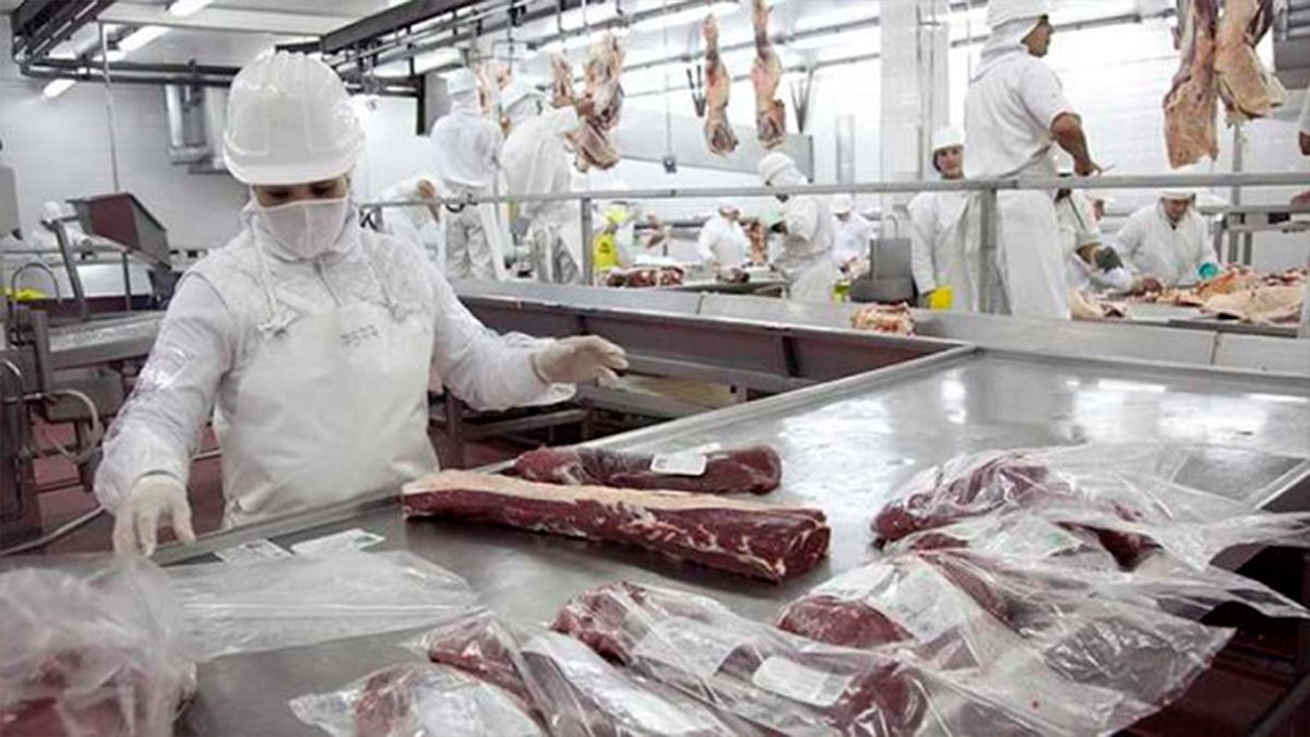 El Gobierno cerró las exportaciones de carne para "poner en orden el mercado interno", según Alberto Fernández.