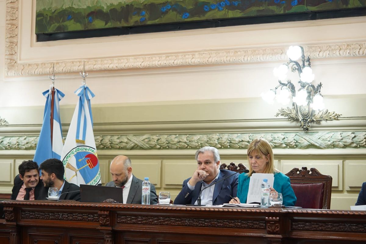 La maratónica Asamblea Legislativa fue presidida por Pablo Farías y Alejandra Rodenas.