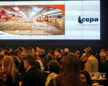 La avicultura celebró su día con un consumo récord, pero advirtió que necesita más exportaciones e inversiones para seguir creciendo La avicultura celebró su día con un consumo récord, pero advirtió que necesita más exportaciones e inversiones para seguir creciendo