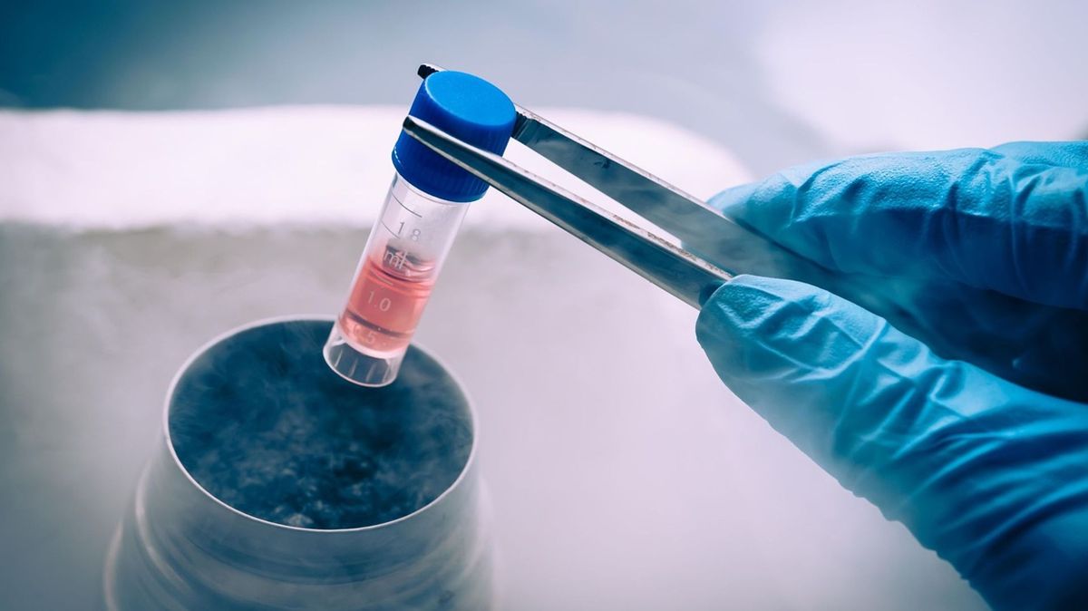 De acuerdo al fallo de la Justicia