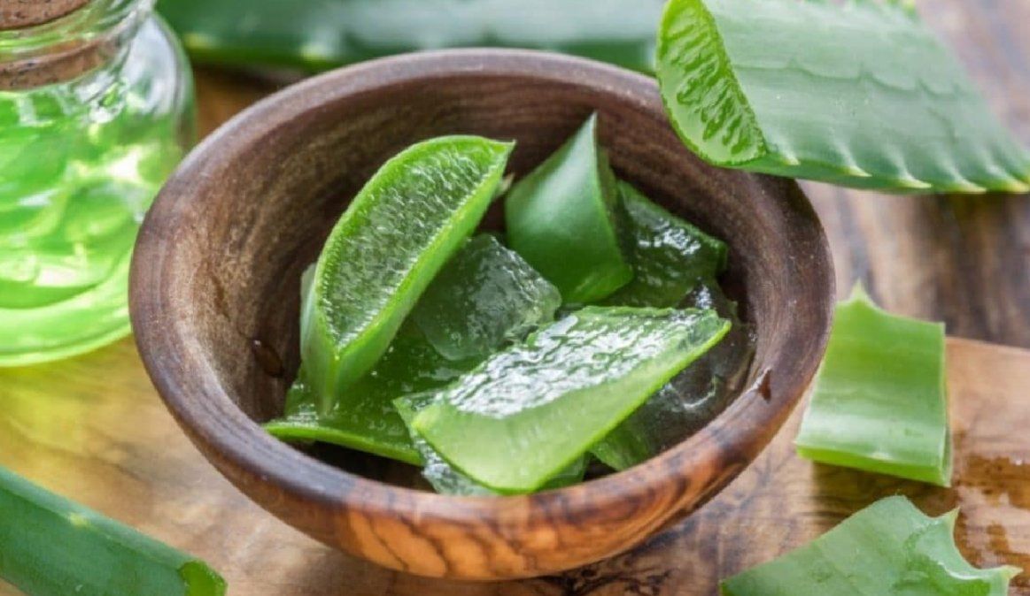 El aloe vera es un superalimento para la salud